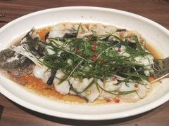 -大树餐厅(益田假日店)