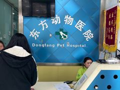 -东方动物医院·宠保定点·骨科·转诊中心(春城路·昆明站分院)