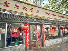 -宝源饺子(麦子店街店)