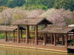 -金成潮菜博物馆(海珠湿地店)