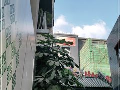 -钟薛高(南头古城店)