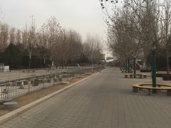 -北京亚布洛尼朝阳公园滑雪场