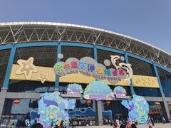 -泉城欧乐堡海洋极地世界