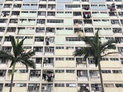 -彩虹村