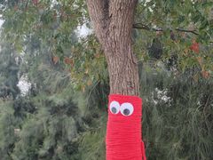 -漩门湾国家湿地公园