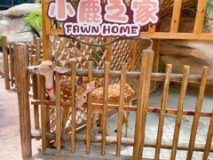 -杭州开元森泊度假乐园