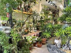 -溪岸路花鸟市场