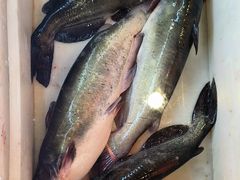 -江湖水乡铁锅炖魚(周庄嘉园店)