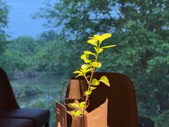 -木守西溪溪隐餐厅