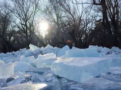 -长春市南湖公园