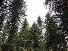 -硗碛藏寨·神木垒景区