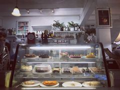 -Fern Forest Cafe