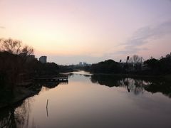 -新江湾城公园