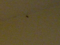 -屋顶顶城市·江景酒店-客房部