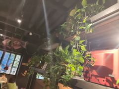 -探鱼·鲜青椒爽麻烤鱼(西南商都店)