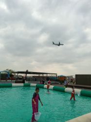 -小蜜蜂农场(凯德七宝购物广场店)