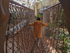 -杭州开元森泊度假乐园