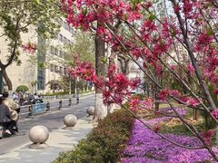 -山东省千佛山医院