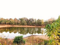 -游子山休闲旅游区