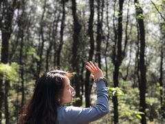 -铁山坪森林公园