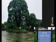 -韩湘水博园