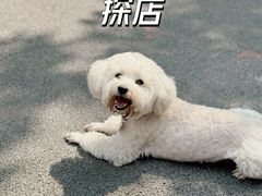 -茶泡饭(李子坝店)
