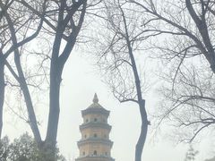 -晋祠公园