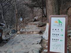 -北京鹫峰国家森林公园