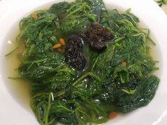 -山泉公馆酒家(珠江新城店)