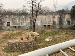 -西安秦岭野生动物园