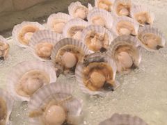 -顺峰海鲜酒楼(省府店)