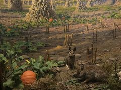 -美国自然历史博物馆