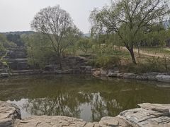 -北京西山国家森林公园