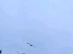 -仁川港国际客运码头