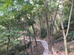 -上海佘山国家森林公园天马山园