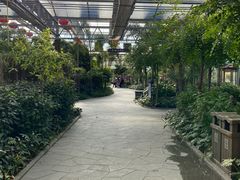 -南宫五洲植物乐园