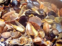 -船梆煮•蒸汽海鲜·炉火烤肉(五四广场店)