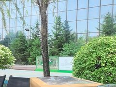 -长春净月潭喜来登酒店·盛宴标帜餐厅