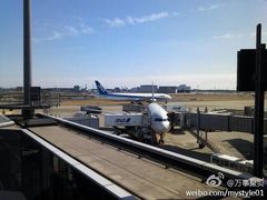 -全日本空输株式会社(上海办事处)