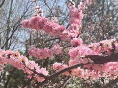 -大兴滨河森林公园