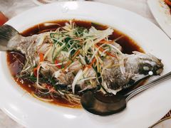 清蒸海鲈鱼-光海鲜鱼翅餐厅(叻差拉披色路店)