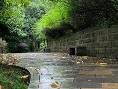 -龙头寺公园