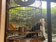 -杭州香格里拉·香宫中餐厅