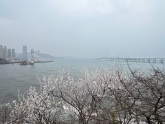 -黑石礁公园
