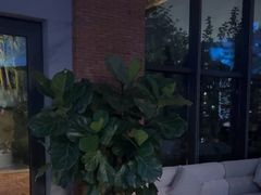 -浅深Cheersum(曹杨店)