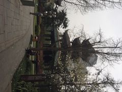 iphone_upload_pic-望江楼公园