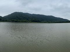 -风云岭森林公园