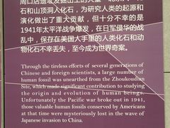 -北京周口店北京人遗址博物馆