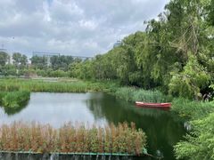 -长春市南湖公园