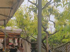 -玫瑰庄园·自助烧烤·烤全羊·团建拓展(龙泉山店)